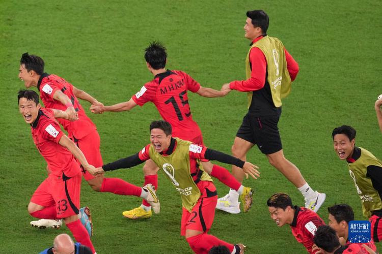 韩国世界杯