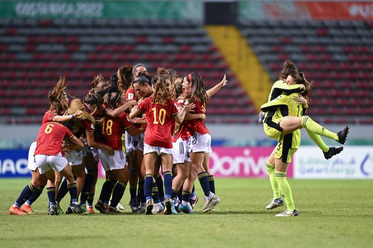 2015年女足世界杯决赛